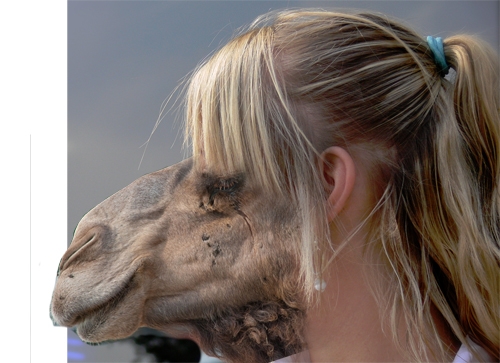 Creation of Camel Face: Step 6